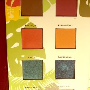 🆕 Designer Make Up Pallet